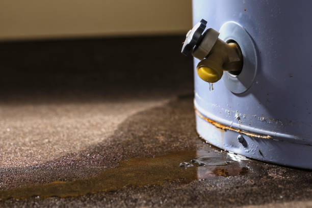 Best Professional water damage repair  in East Alton, IL