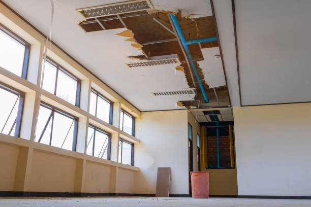 Best Carpet water damage restoration  in East Alton, IL