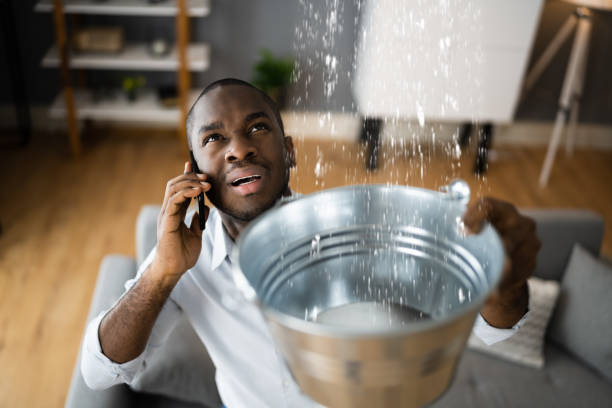 Best 24/7 water damage repair  in East Alton, IL