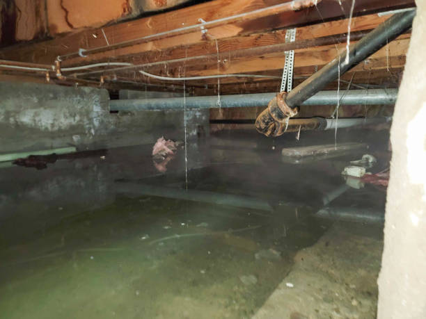 Sewage cleanup and water damage restoration in East Alton, IL