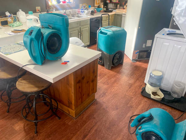 Best Water damage restoration near me  in East Alton, IL
