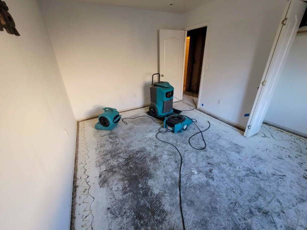 Best Water damage restoration near me  in East Alton, IL