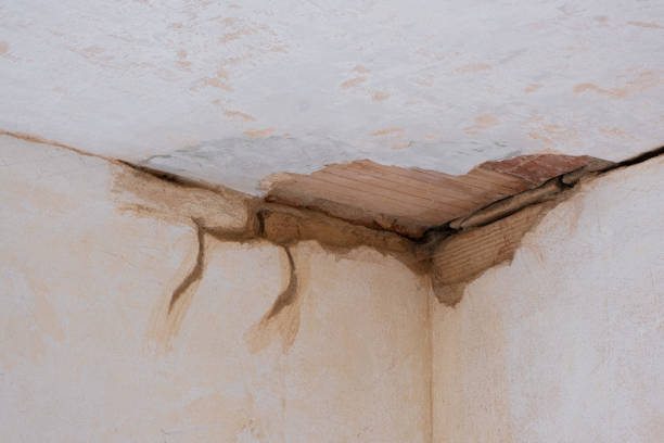 Best Emergency water damage restoration  in East Alton, IL