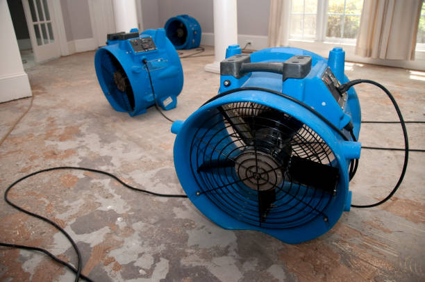 Best Local water damage restoration  in East Alton, IL