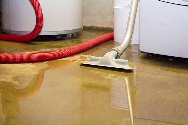 Professional Water damage restoration in East Alton, IL