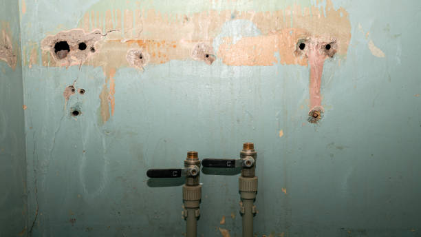 Best Residential water damage restoration  in East Alton, IL