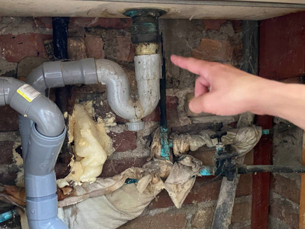  East Alton, IL Water damage restoration Pros