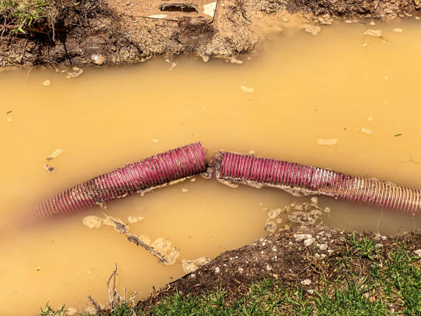 Best Professional water damage repair  in East Alton, IL