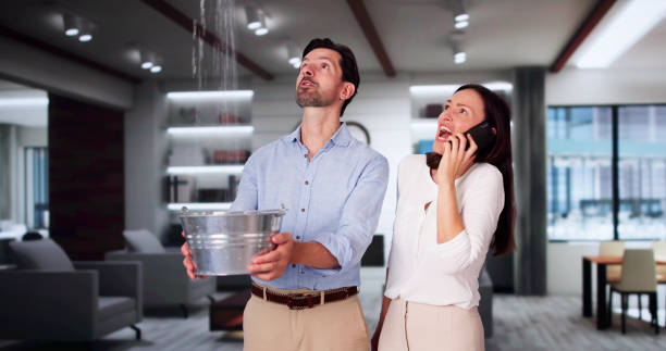Best Flooded house restoration  in East Alton, IL
