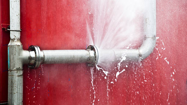 Carpet water damage restoration in East Alton, IL