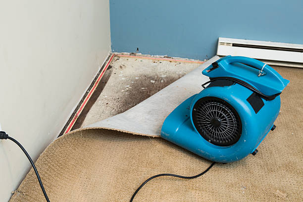 Best Water damage restoration near me  in East Alton, IL