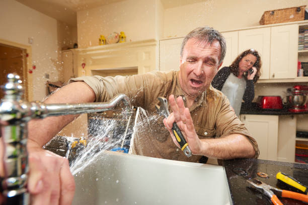 Best Water damage contractors near me  in East Alton, IL